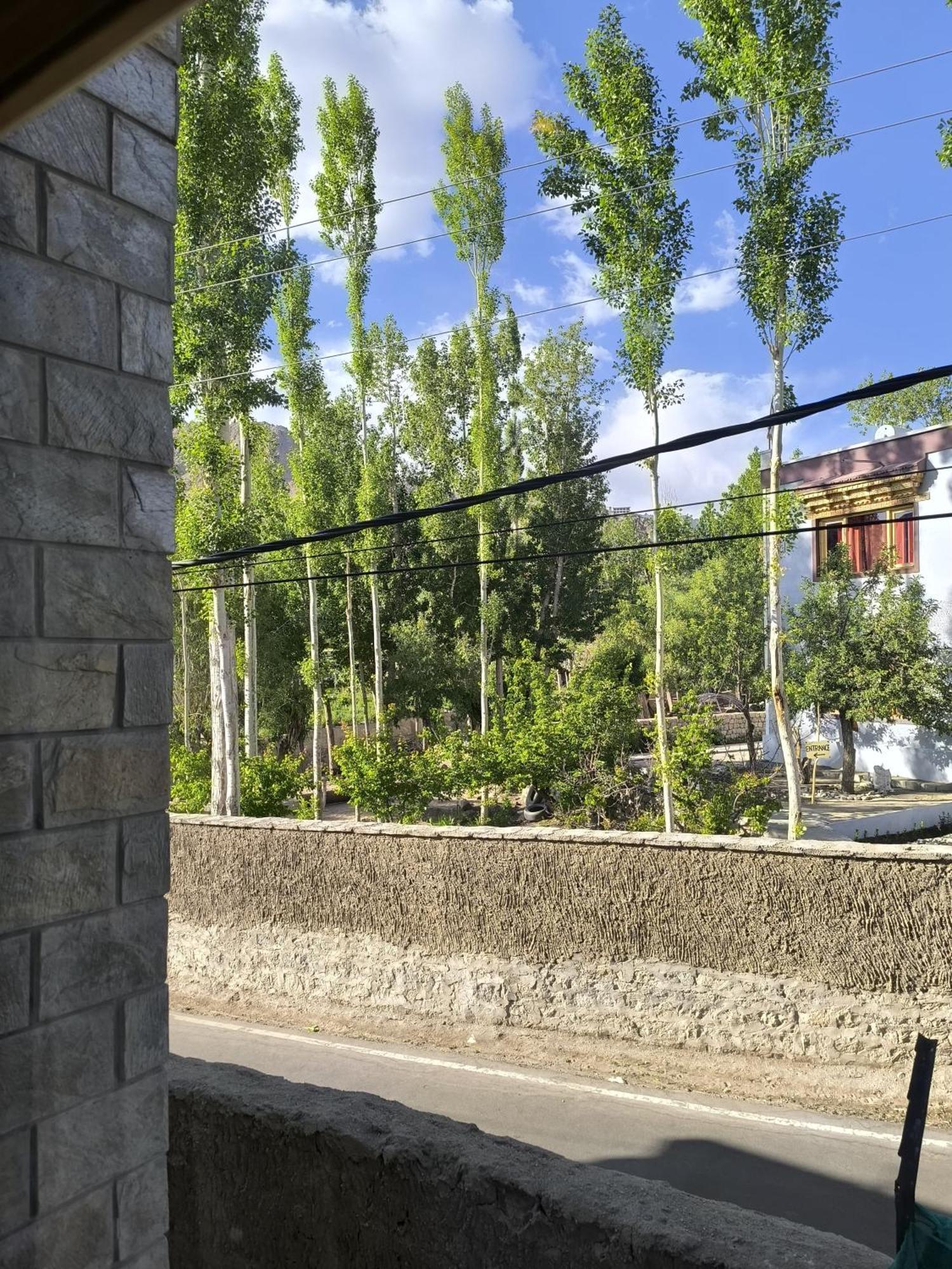 Hidden Leaf Homestay Leh Room photo