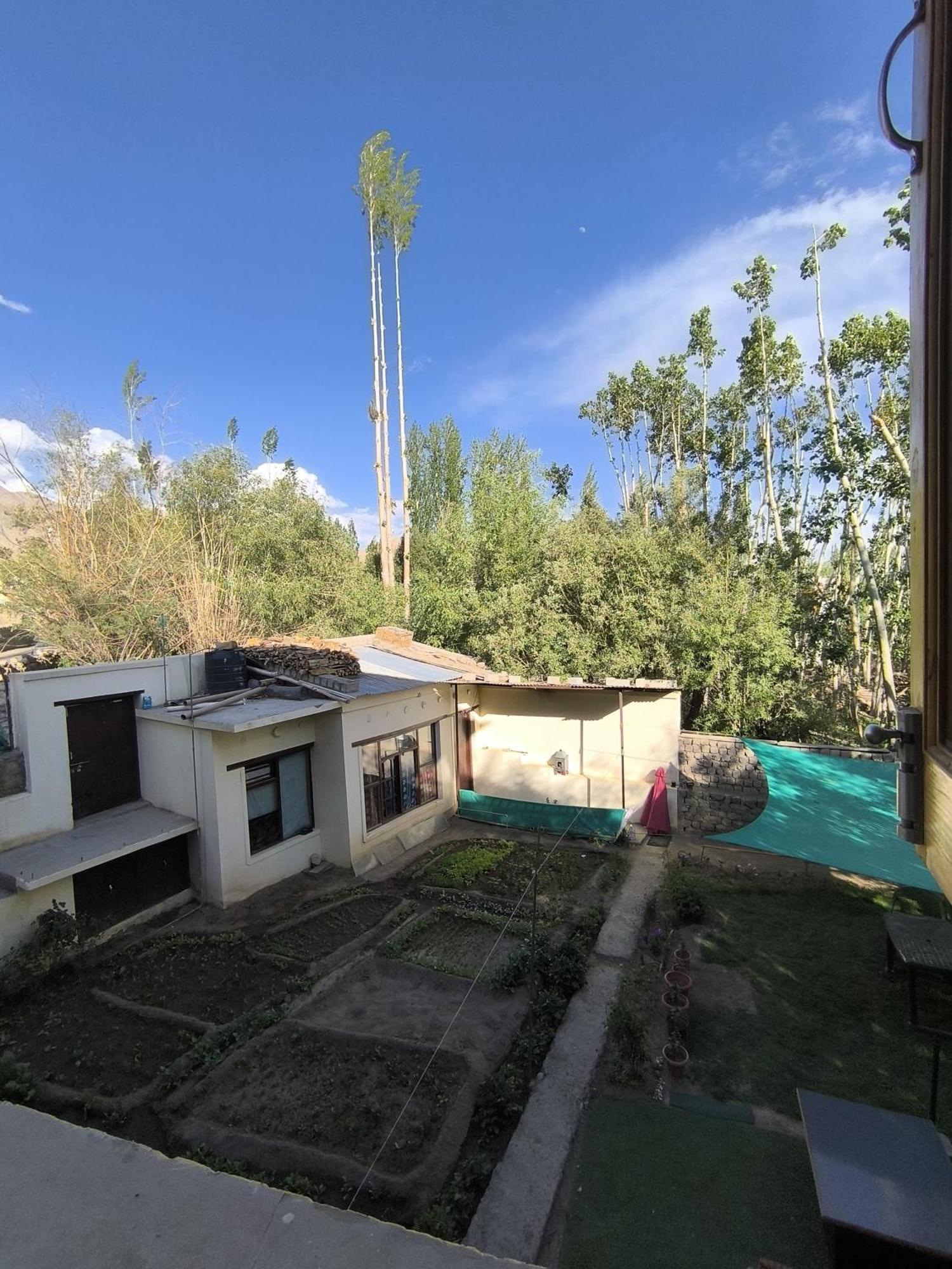 Hidden Leaf Homestay Leh Room photo